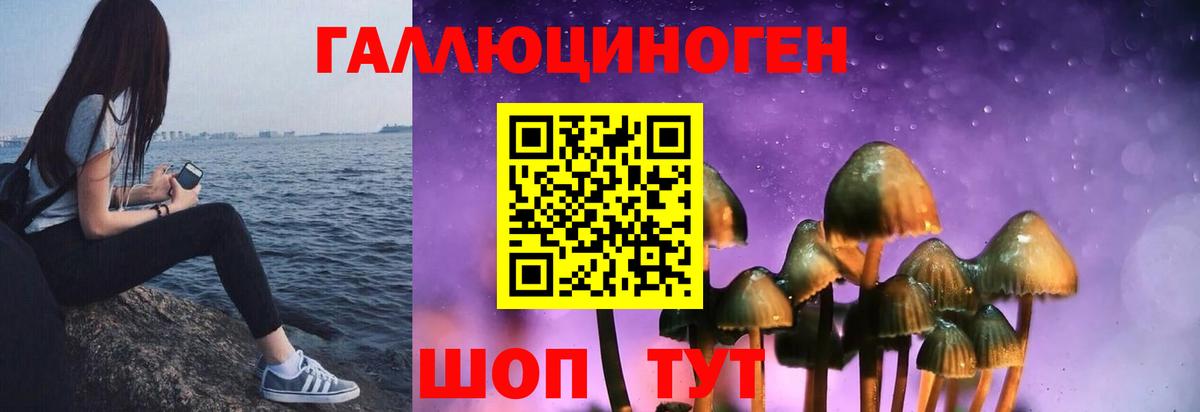 Галлюциногенные грибы Cubensis Чебоксары